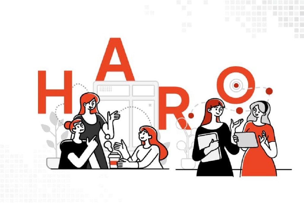 What Is the Average Success Rate for HARO Pitches